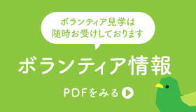 ボランティア情報